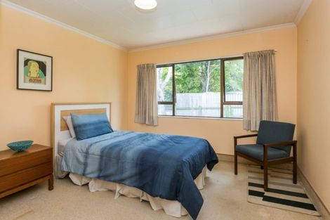 Photo of property in 11 Rush Place, Havelock North, 4130