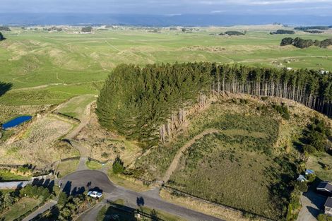 Photo of property in 16 Quail Way, Waitarere, Levin, 5510