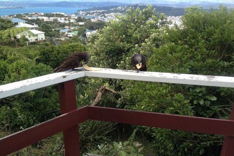 Photo of property in 32 Highbury Road, Highbury, Wellington, 6012