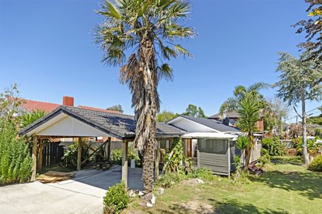 Photo of property in 65 Larnoch Road, Henderson, Auckland, 0610