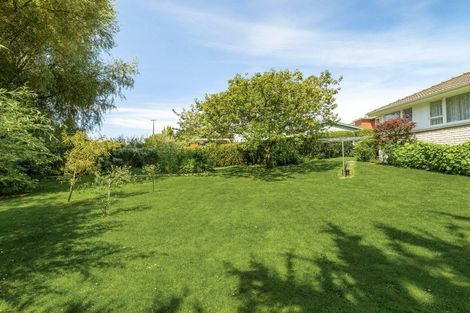 Photo of property in 22 Henry Street, Maori Hill, Dunedin, 9010