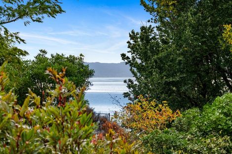 Photo of property in 13 Roslyn Road, Bluff Hill, Napier, 4110