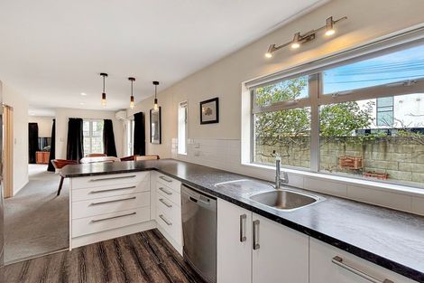 Photo of property in 48b Dickens Street, Addington, Christchurch, 8024
