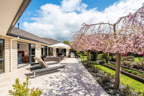 Photo of property in 6r Jason Place, Pyes Pa, Tauranga, 3112