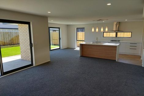 Photo of property in 19 Mccormick Lane, Rolleston, 7615