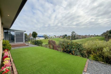 Photo of property in 38 Cambridge Street, Putaruru, 3411