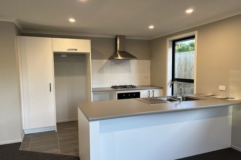 Photo of property in 41u2 Kenney Crescent, Fairfield, Hamilton, 3214