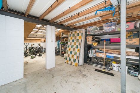 Photo of property in 50 Pitama Road, Awapuni, Palmerston North, 4412