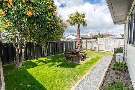 Photo of property in 12b Bruce Avenue, Glenview, Hamilton, 3206