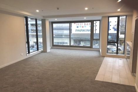 Photo of property in Vsp South, 105/168u Victoria Street, Te Aro, Wellington, 6011