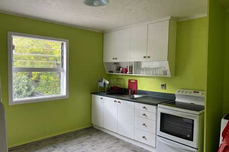 Photo of property in 43 Honiana Te Puni Street, Aro Valley, Wellington, 6021