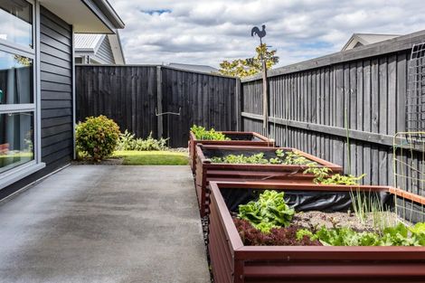 Photo of property in 2 Payne Court, Rangiora, 7400