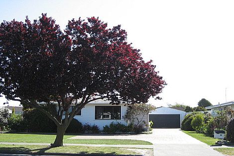 Photo of property in 60 Weld Street, Redwoodtown, Blenheim, 7201