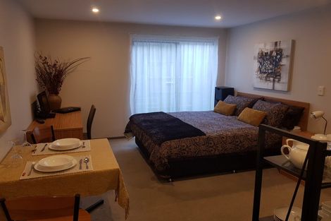 Photo of property in Dual Apartments, 108/142u Vivian Street, Te Aro, Wellington, 6011