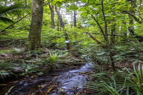 Photo of property in 531 Frankley Road, Hurworth, New Plymouth, 4371