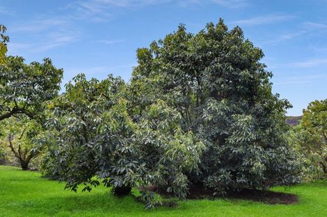 Photo of property in 286a Woodland Road, Tahawai, Katikati, 3170