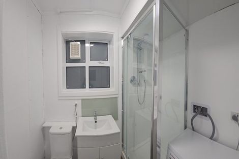 Photo of property in 99 Coromandel Street, Newtown, Wellington, 6021