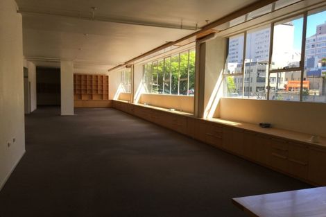 Photo of property in The Lofts, 185u1 Victoria Street, Te Aro, Wellington, 6011