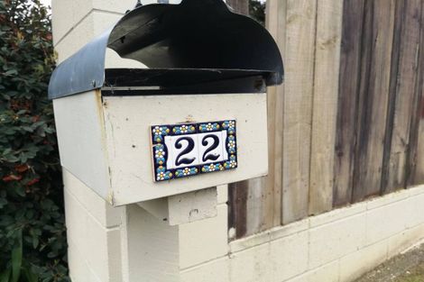 Photo of property in 22 Kaikoura Street, Henderson, Auckland, 0612