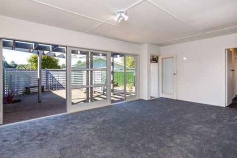 Photo of property in 141 Rickit Street, Taupo, 3330
