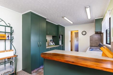 Photo of property in 102 Taupahi Road, Turangi, 3334