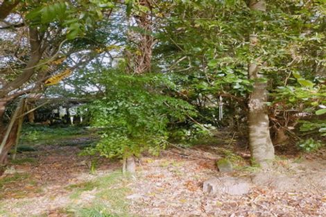 Photo of property in 88 Montrose Road, Waihi, 3610