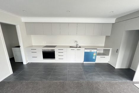 Photo of property in 101 Daniell Street, Newtown, Wellington, 6021