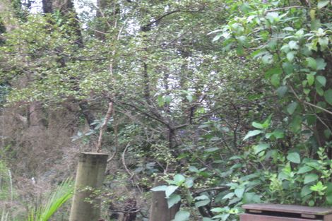 Photo of property in 29 Kohu Road, Titirangi, Auckland, 0604