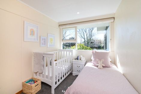 Photo of property in 36 Arnott Street, Feilding, 4702