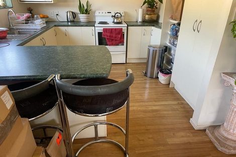 Photo of property in 12 Britton Avenue, Mount Roskill, Auckland, 1041