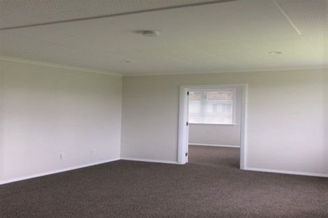 Photo of property in 39 Middlesex Street, Levin, 5510