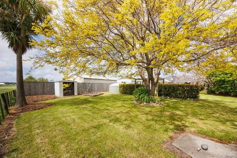 Photo of property in 12 Humber Street, Rongotea, 4476