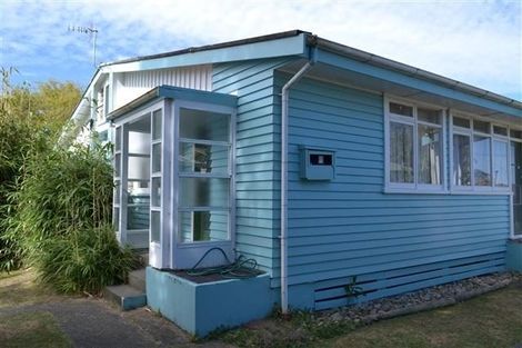 Photo of property in 19 Forth Street, Levin, 5510