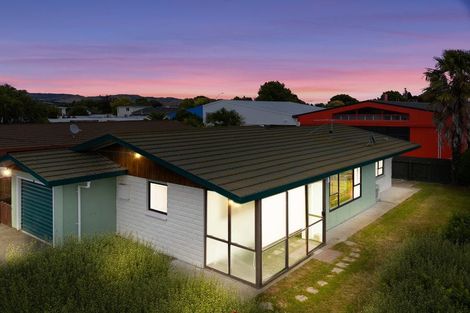 Photo of property in 9b Francis Street, Blenheim, 7201