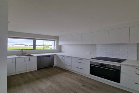 Photo of property in 22 Musselwhite Terrace, Chartwell, 3210