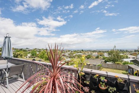 Photo of property in 30 Marlborough Crescent, Richmond, 7020