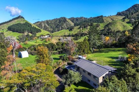 Photo of property in 11 Mangotahi Road, Thames, 3577