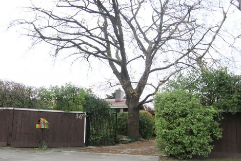 Photo of property in 36 Elbourne Street, Taradale, Napier, 4112