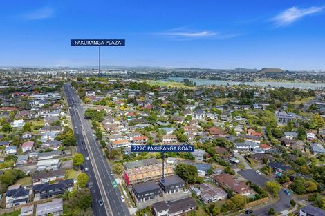 Photo of property in 222c Pakuranga Road, Pakuranga Heights, Auckland, 2010