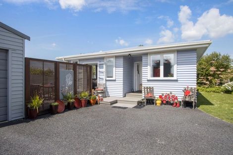 Photo of property in 29 Wrigley Street, Waihi, 3610