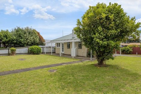 Photo of property in 191 Tiro Tiro Road, Levin, 5510