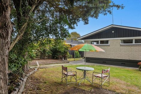 Photo of property in 14 Pouwhare Street, Whakatane, 3120