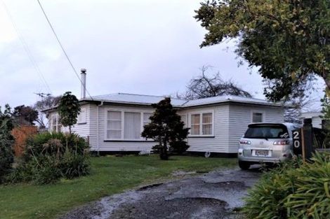 Photo of property in 20 Elizabeth Street, Levin, 5510