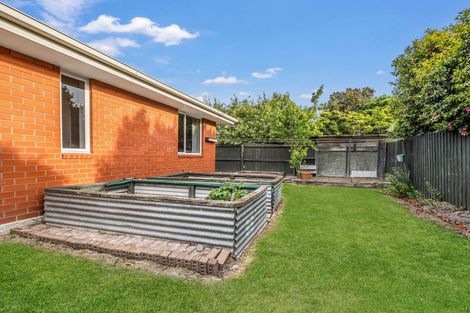 Photo of property in 8 Glebe Close, Lincoln, 7608
