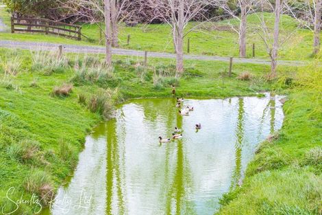 Photo of property in 70 Te Pahi River Drive, Paparoa, 0583