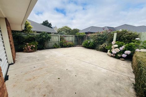 Photo of property in 8 Ridgewood Place, Shirley, Christchurch, 8061