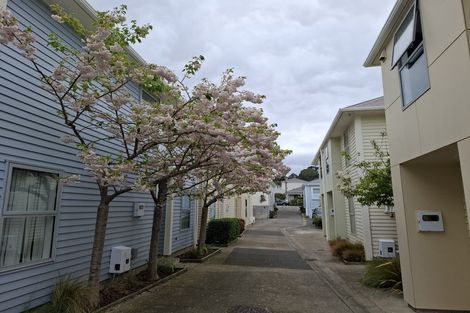 Photo of property in 44u1 Owen Street, Newtown, Wellington, 6021