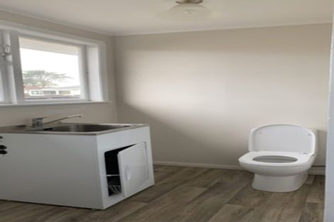 Photo of property in 17 Solent Street, Mangere, Auckland, 2022