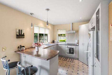 Photo of property in 41 Longspur Avenue, Wigram, Christchurch, 8025