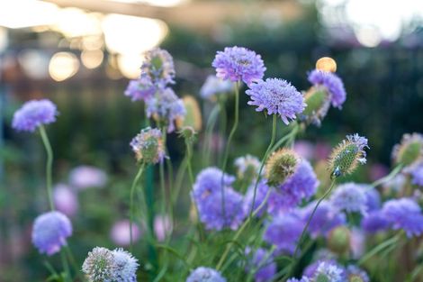 Photo of property in 38a Pokapu Street, Titirangi, Auckland, 0600